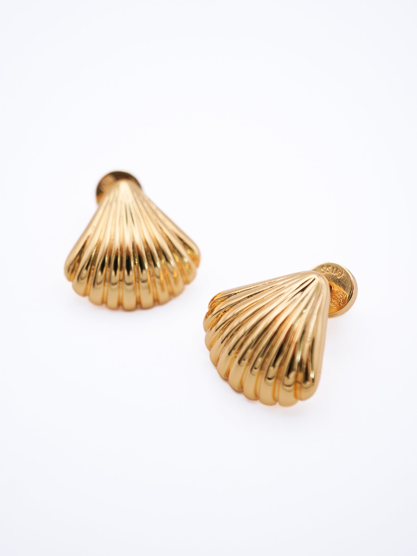 Shell Ear Studs
