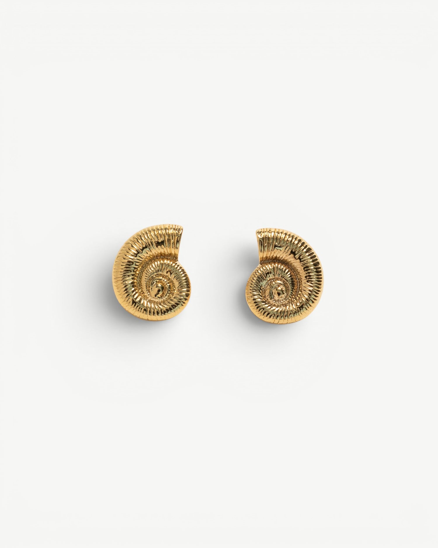Seashell Earrings