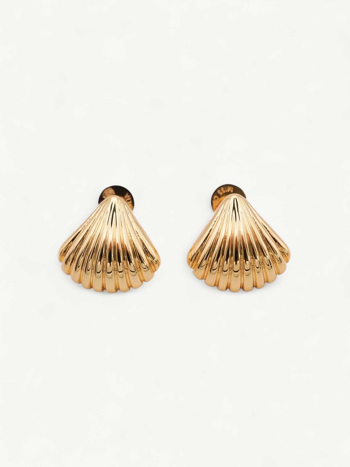 Shell Ear Studs