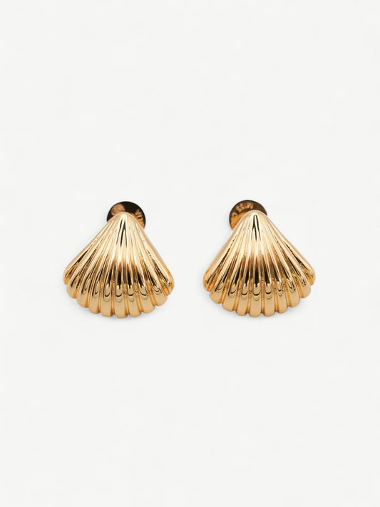 Shell Ear Studs