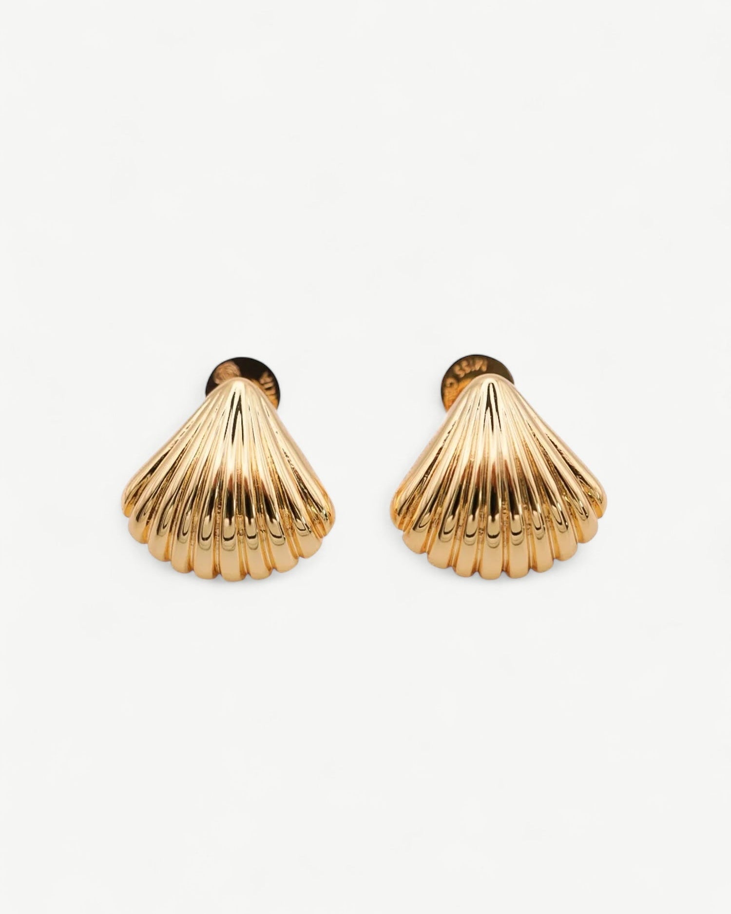 Shell Ear Studs