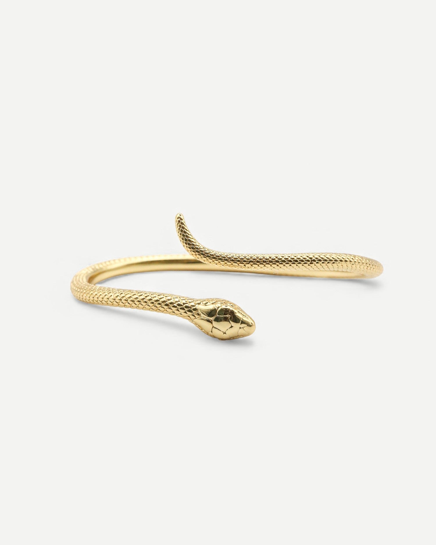 The Serpent Bangle