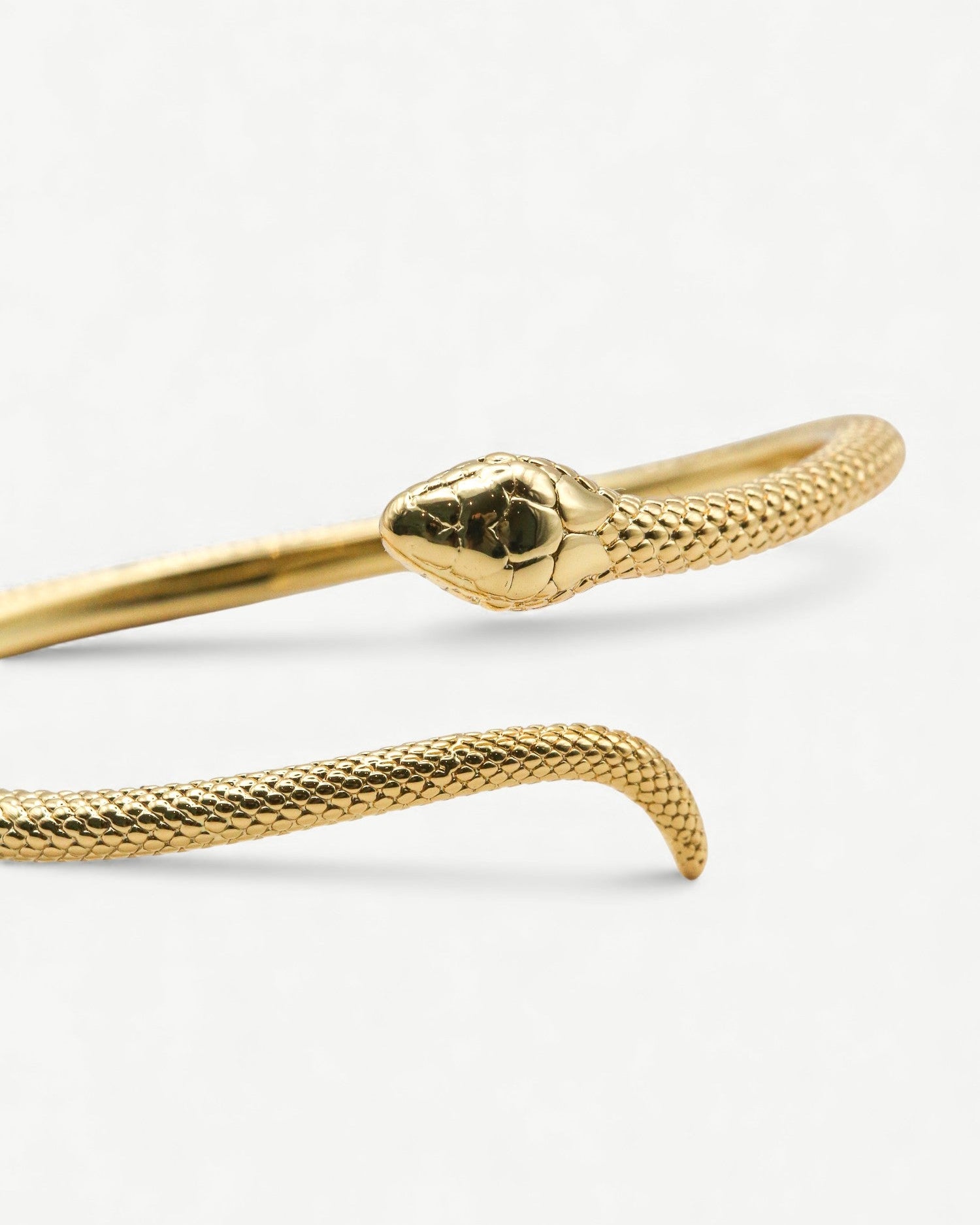 The Serpent Bangle