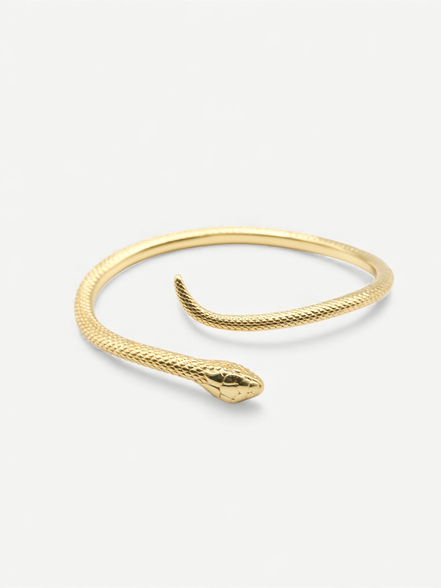 The Serpent Bangle