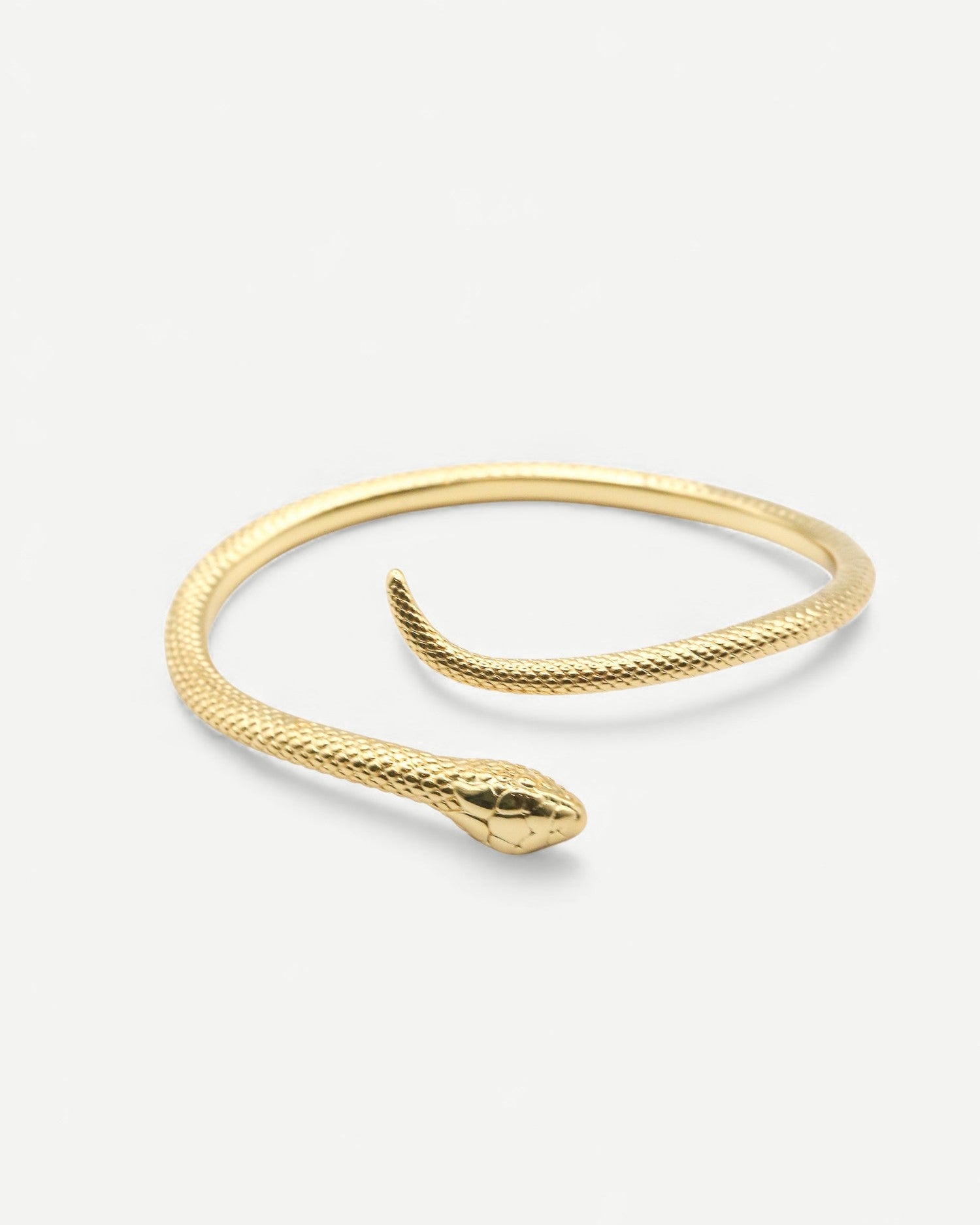 The Serpent Bangle