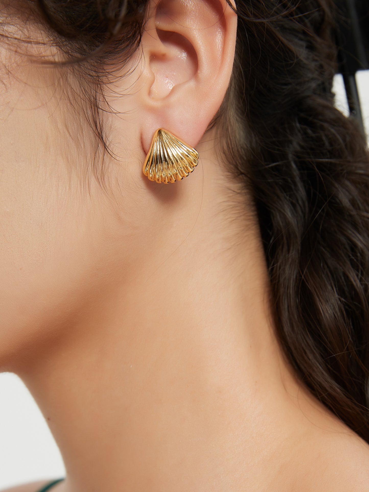 Shell Ear Studs