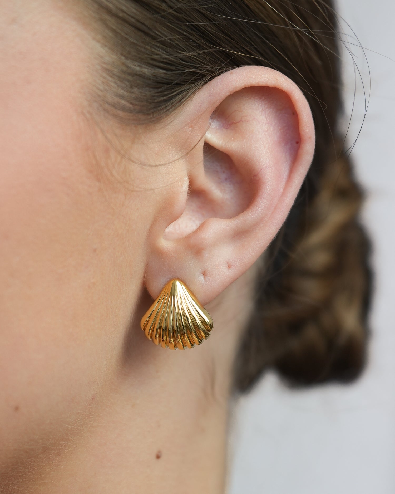 Shell Ear Studs