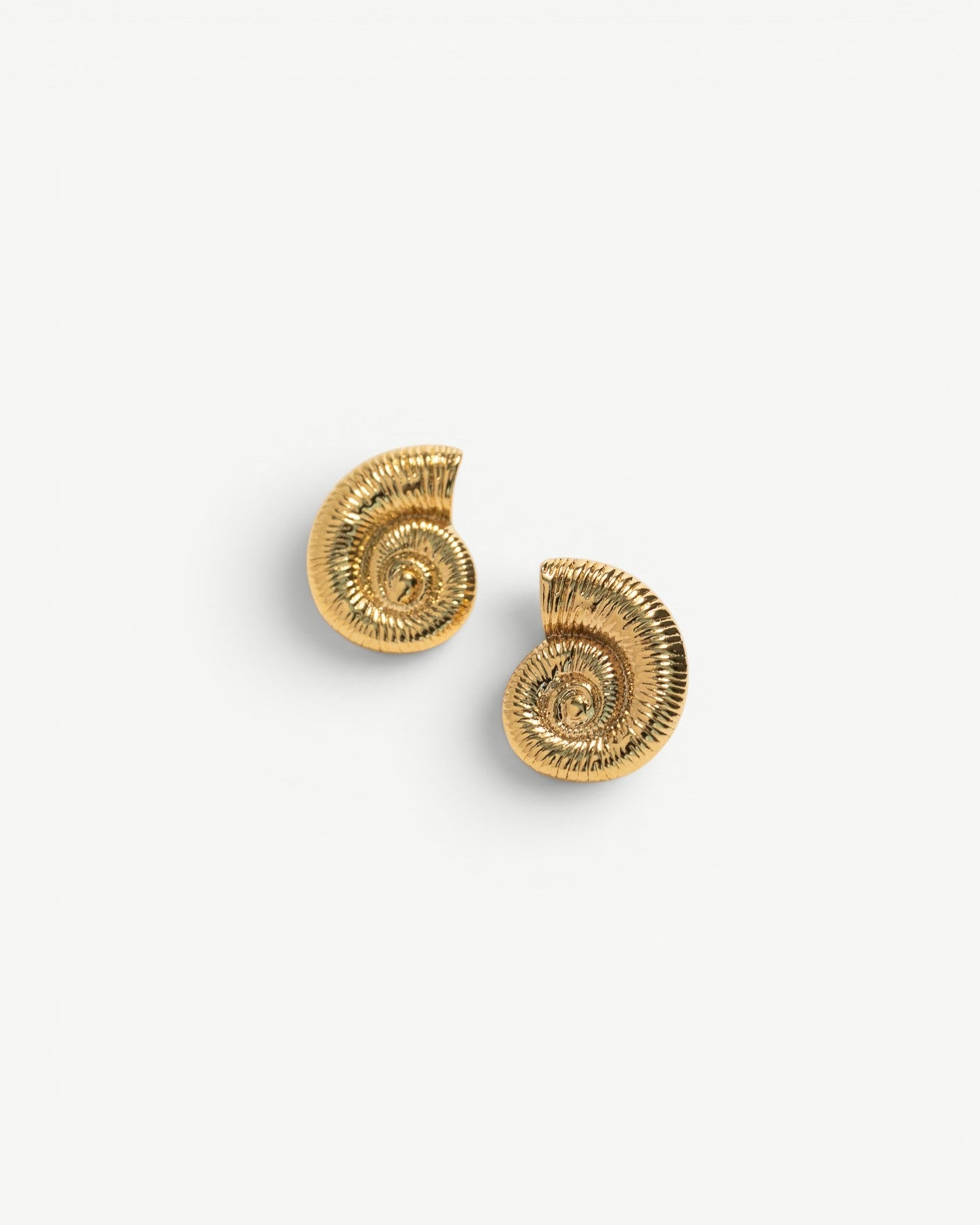 Seashell Earrings