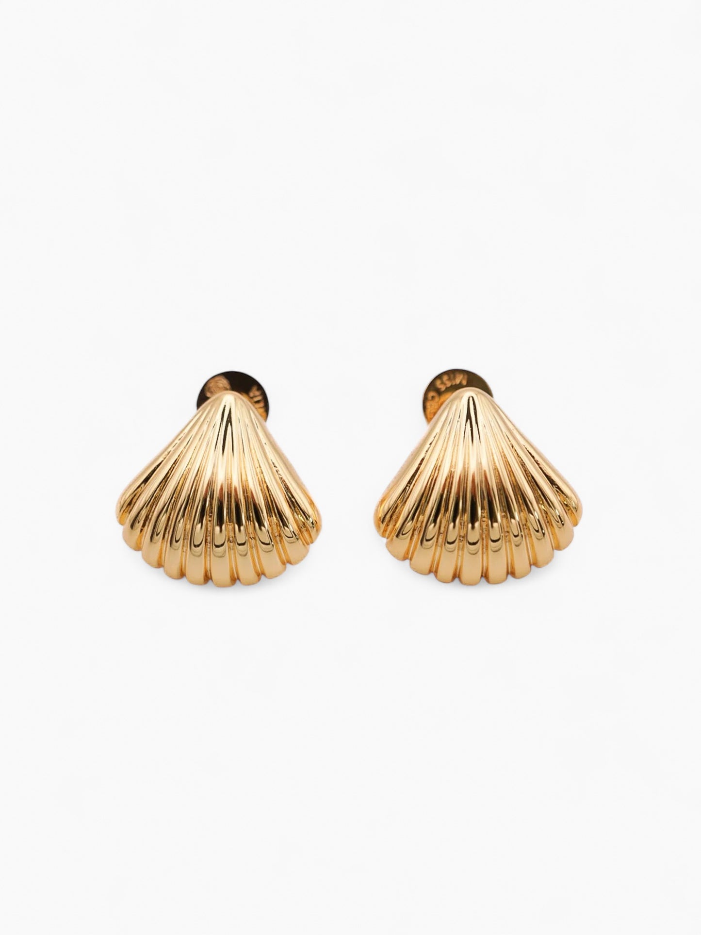 Shell Ear Studs