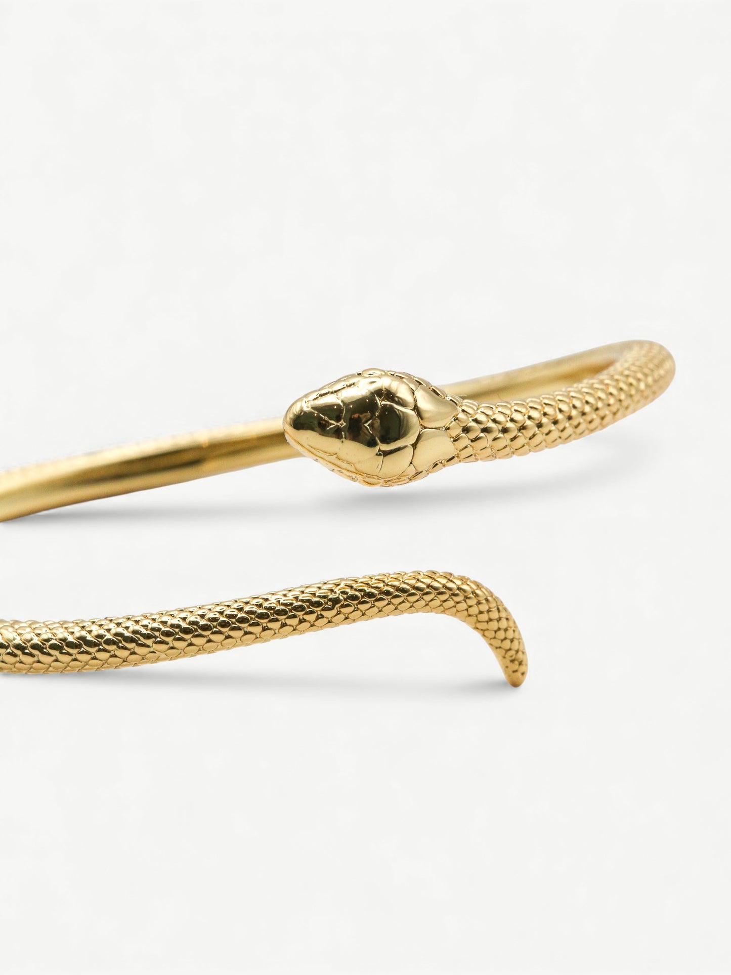 The Serpent Bangle